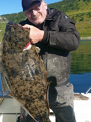 Helleflynder