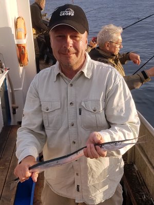 Hornfisk