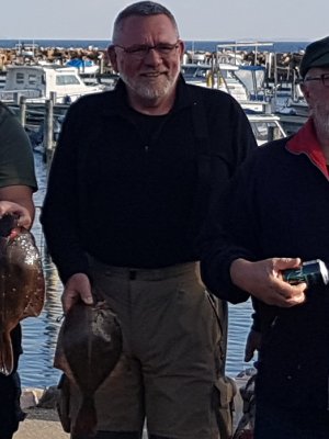 Rødspætte