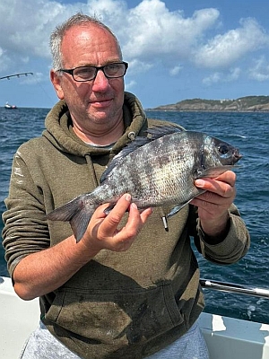 Almindelig havrude