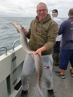 Havål