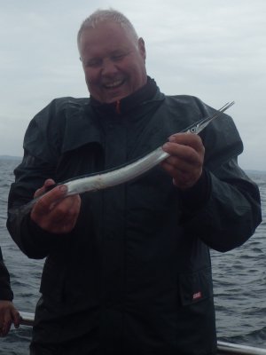 Hornfisk
