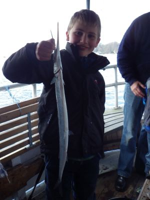 Hornfisk