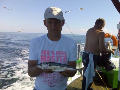 Makrel