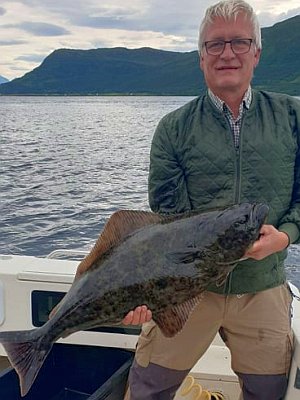Helleflynder