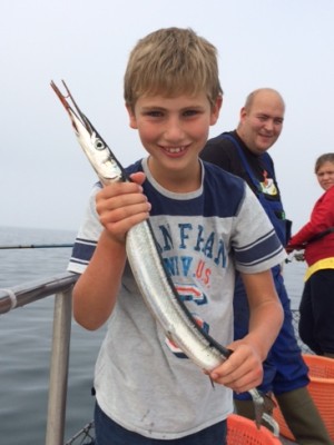 Hornfisk