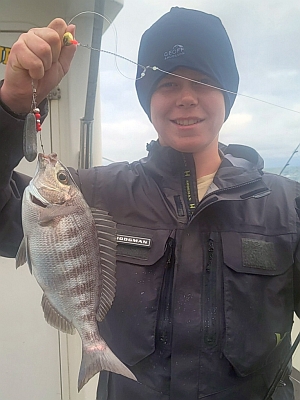 Almindelig havrude