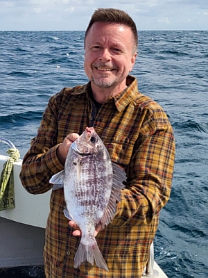 Almindelig havrude