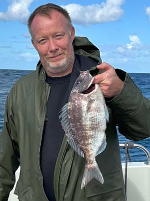 Almindelig havrude