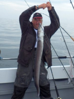 Havål