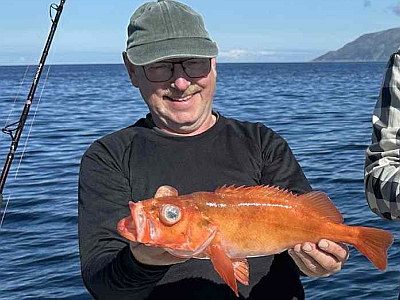 Stor rødfisk