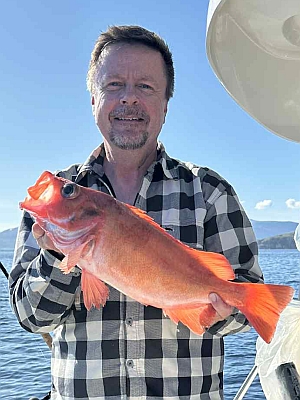 Stor rødfisk
