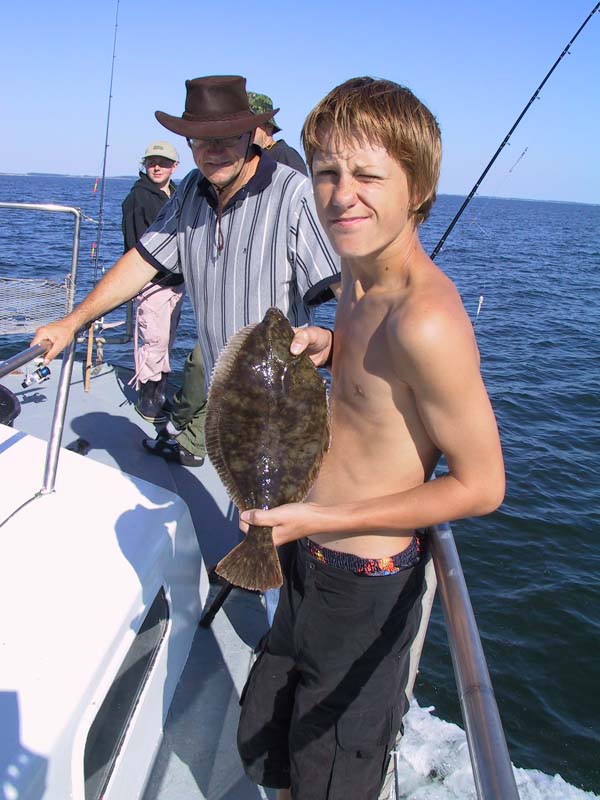 Skrubbe