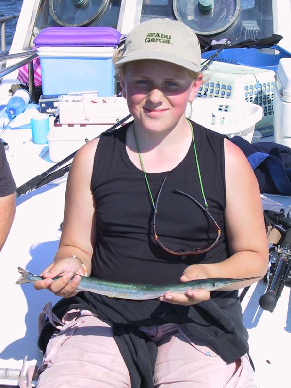 Hornfisk