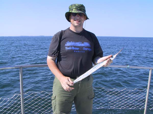 Hornfisk