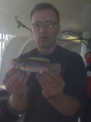 Havkarusse