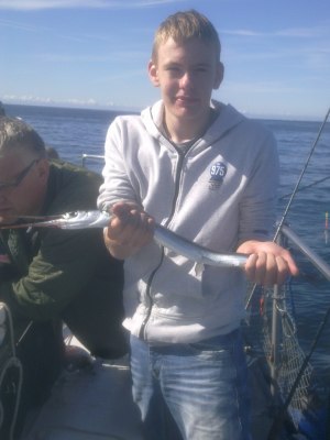 Hornfisk