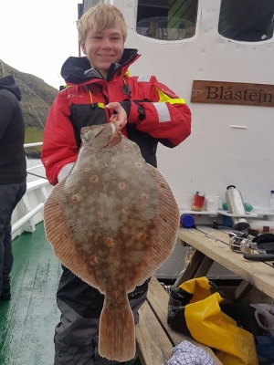 Rødspætte