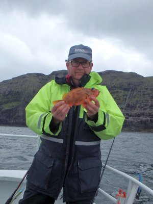 Lille rødfisk