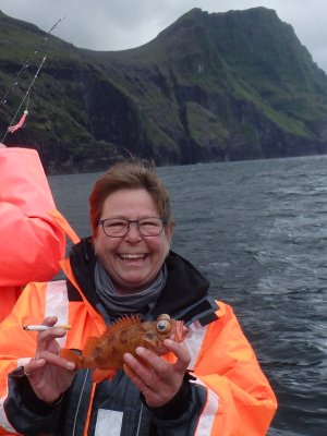 Lille rødfisk