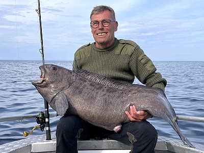 Blå havkat