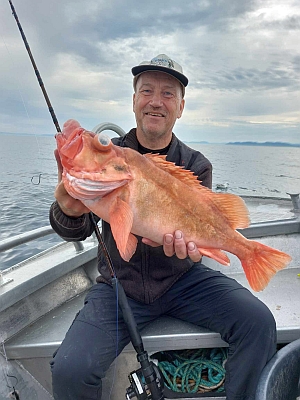 Stor rødfisk
