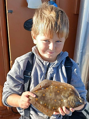 Rødspætte