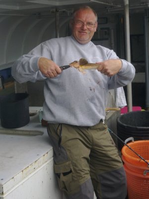 Rød Knurhane