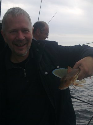 Rød Knurhane