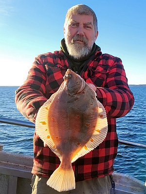Rødspætte