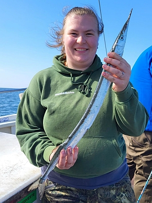 Hornfisk