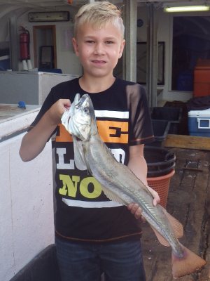 Kulmule