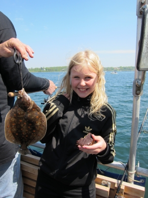 Rødspætte