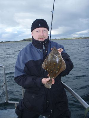 Rødspætte