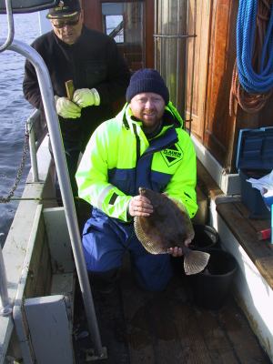 Rødspætte