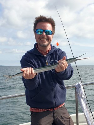 Hornfisk