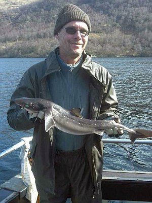 Pighaj