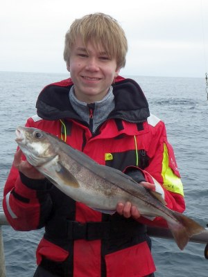 Kuller