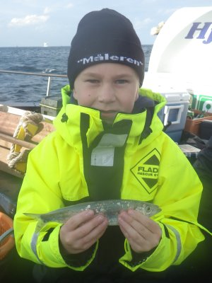 Sild
