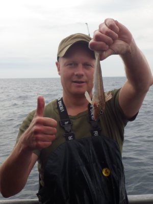 Rød Knurhane