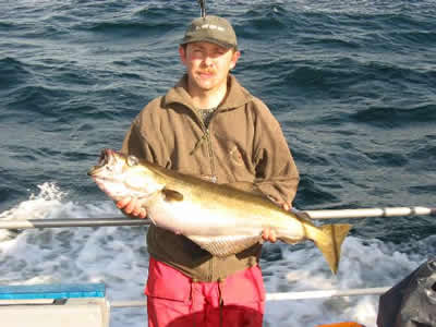 Lubbe