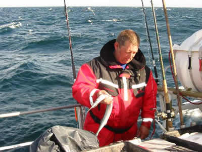 Hornfisk