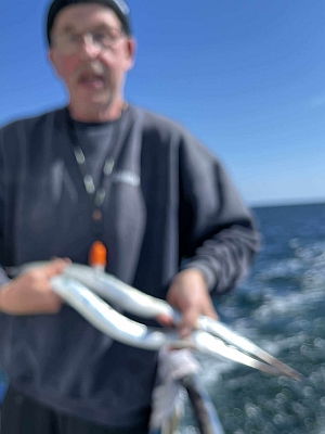 Hornfisk