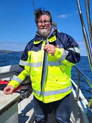 Hornfisk